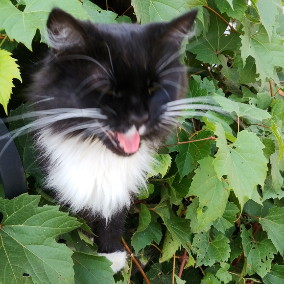 A little bit of everything! - Picture 2 of 4